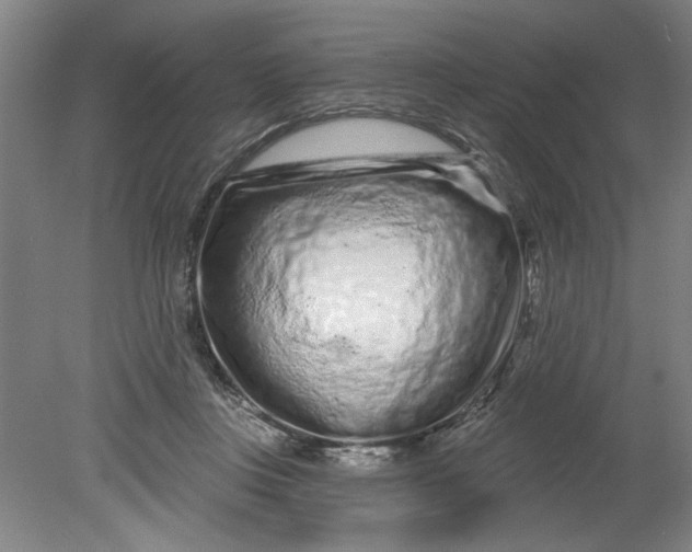 X0000080790359200701021230