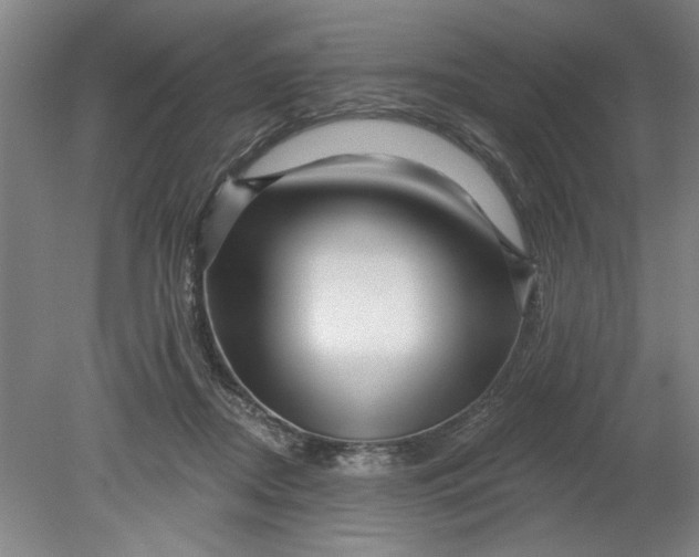 X0000080790362200701021230