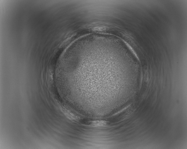 X0000080790363200701021230