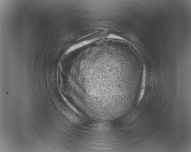 X0000080790365200701021230