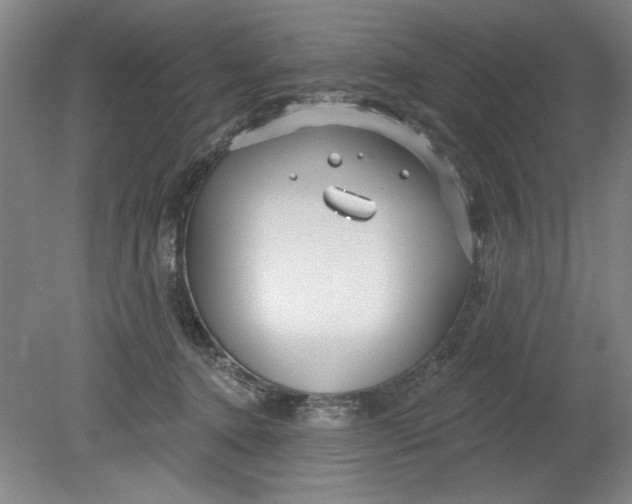 X0000080790368200701021230