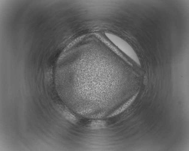 X0000080790369200701021230