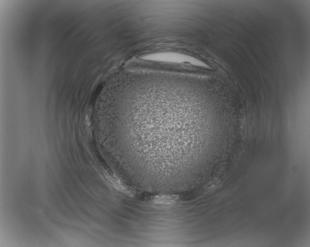 X0000080790373200701021230