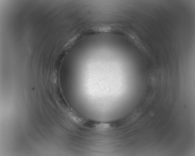 X0000080790374200701021230