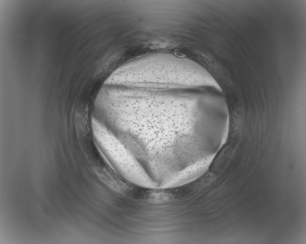 X0000080790376200701021230