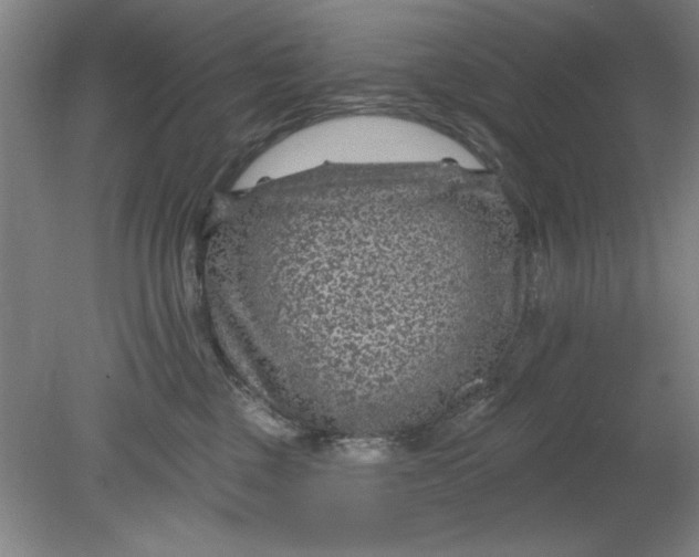X0000080790377200701021230