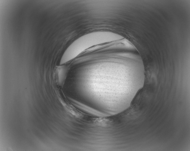 X0000080790379200701021230