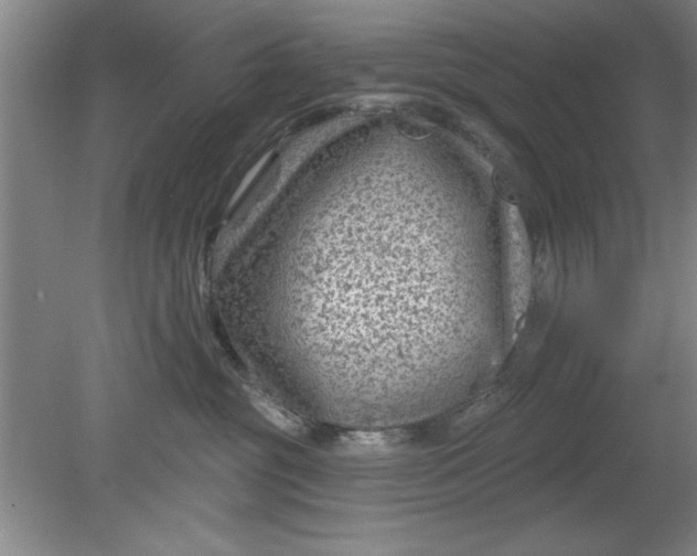 X0000080790381200701021230