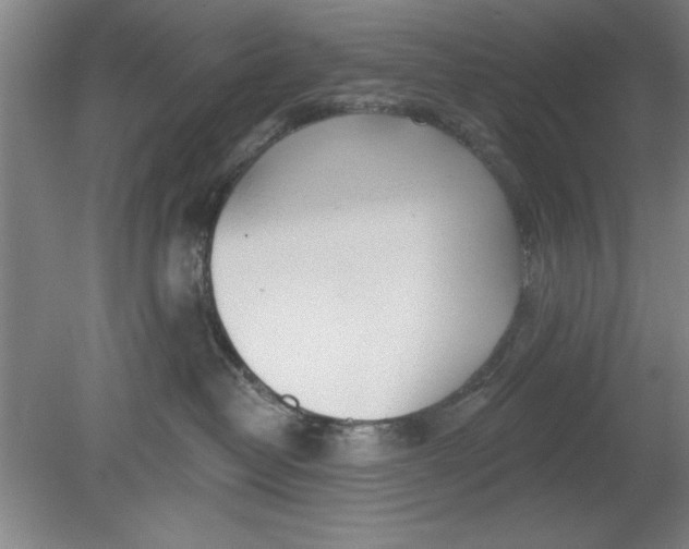 X0000080790382200701021230