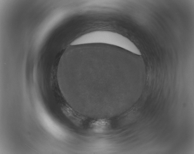 X0000080790383200701021230