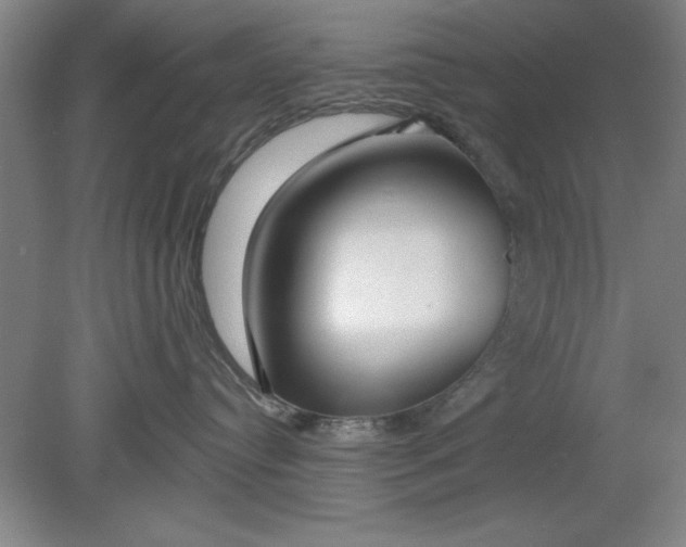 X0000080790384200701021230