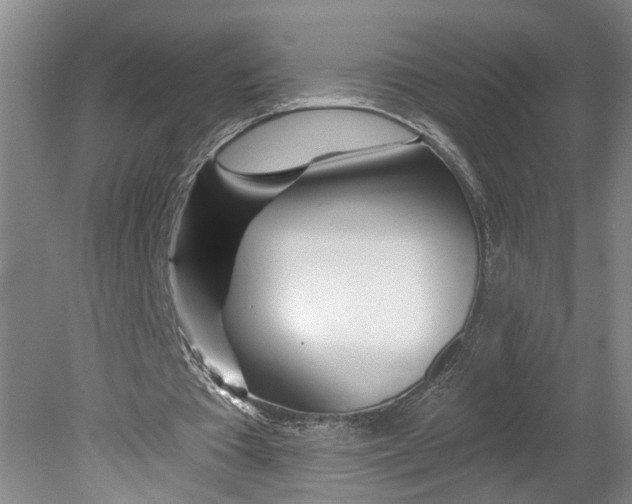 X0000080790385200701021229
