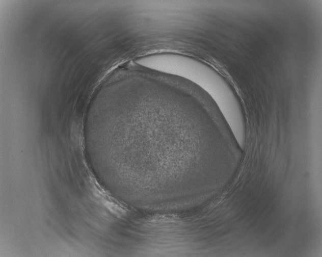 X0000080790386200701021229