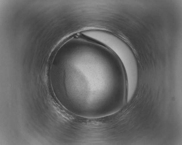 X0000080790387200701021229