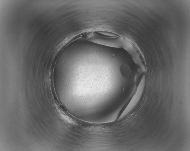 X0000080790389200701021229