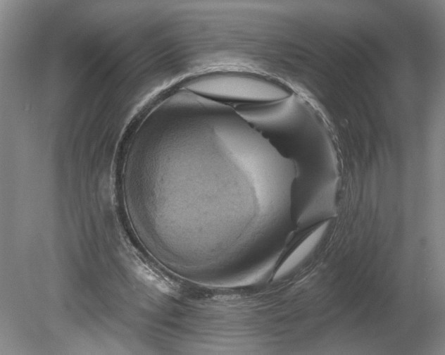X0000080790391200701021229