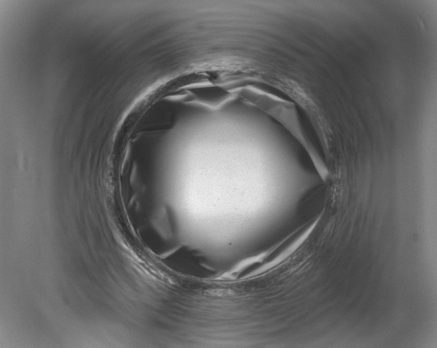 X0000080790392200701021229