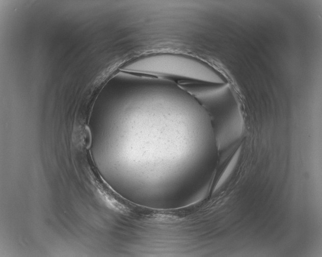 X0000080790393200701021229