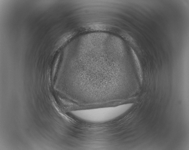 X0000080790398200701021229