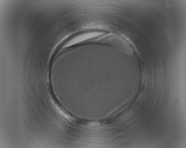 X0000080790399200701021229