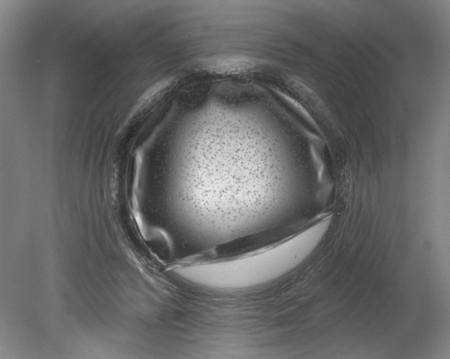 X0000080790400200701021229
