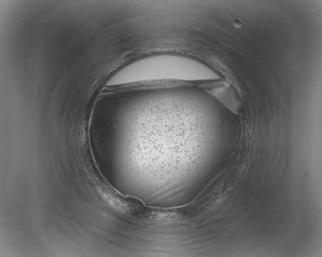 X0000080790401200701021229