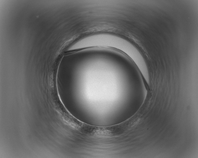 X0000080790403200701021229