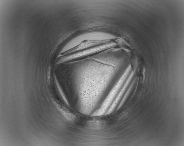 X0000080790404200701021229