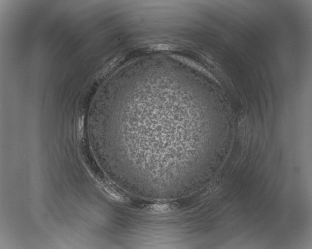 X0000080790406200701021229