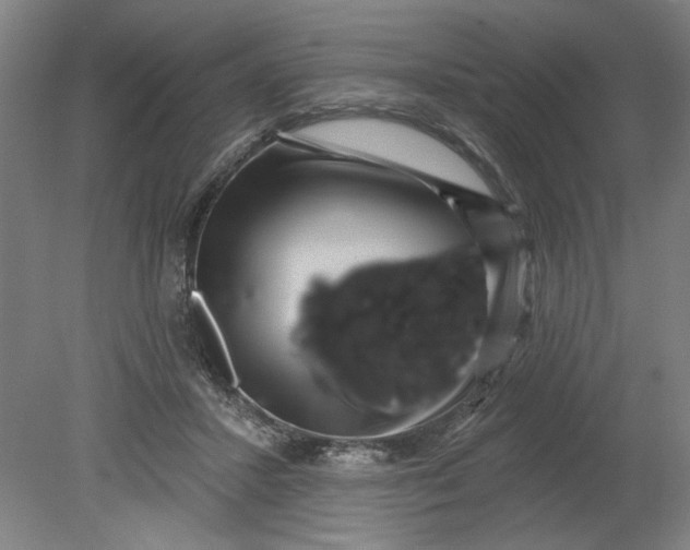 X0000080790407200701021229