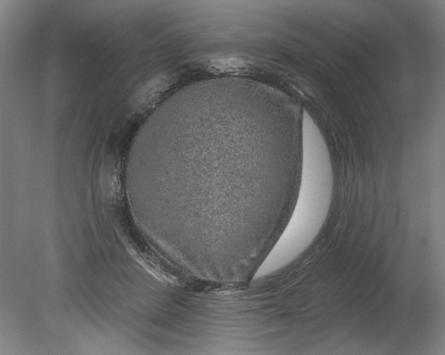 X0000080790408200701021229
