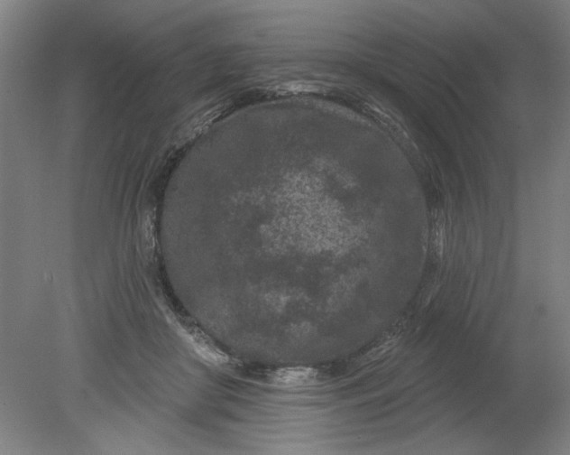 X0000080790410200701021229