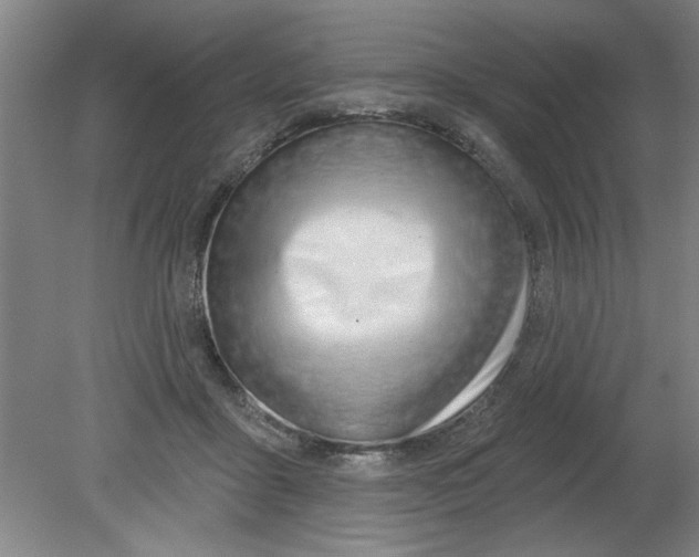 X0000080790411200701021229