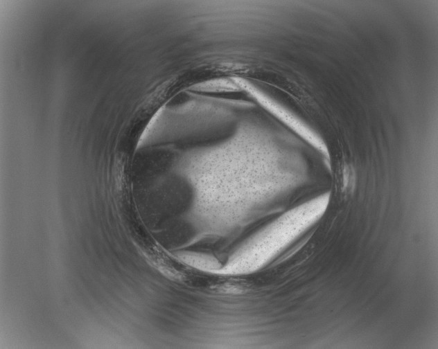 X0000080790412200701021229