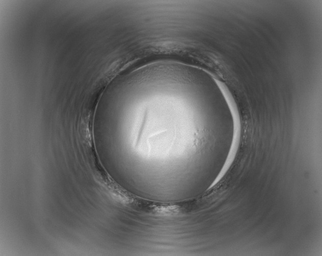 X0000080790415200701021229