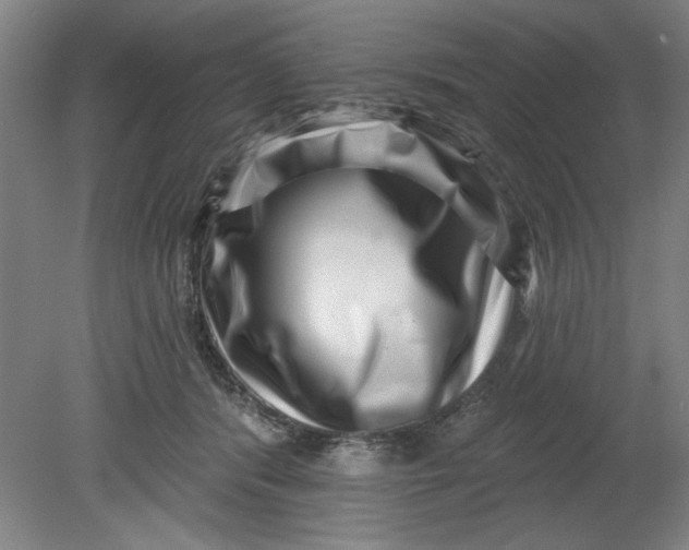 X0000080790416200701021229