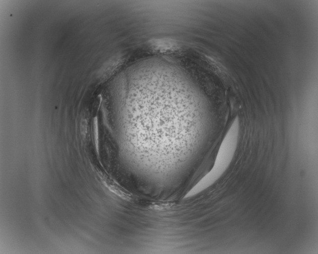 X0000080790417200701021229