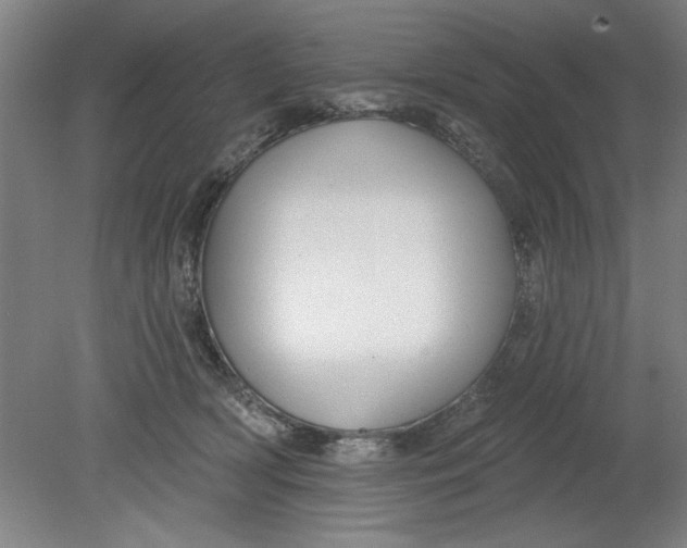X0000080790418200701021229