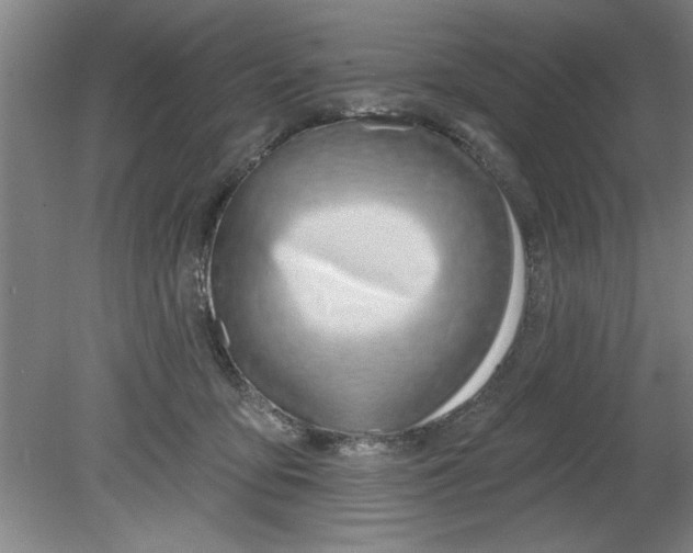 X0000080790419200701021229