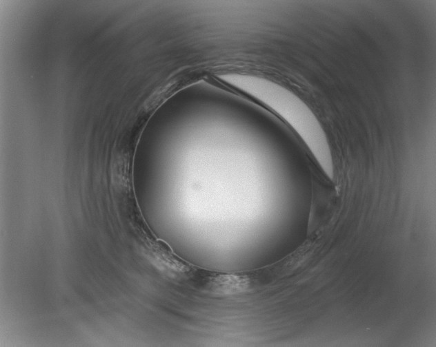 X0000080790421200701021229