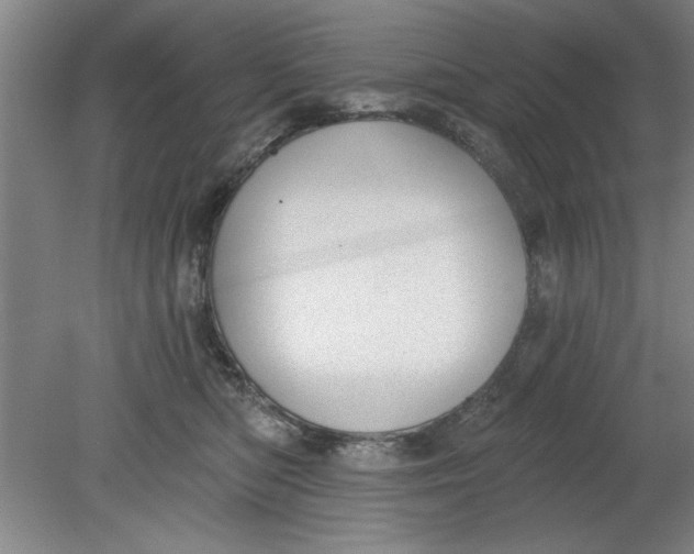 X0000080790422200701021229