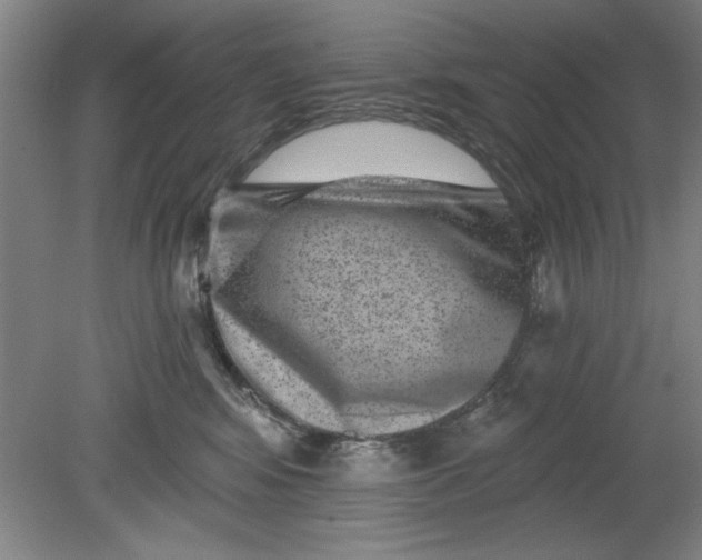 X0000080790424200701021229