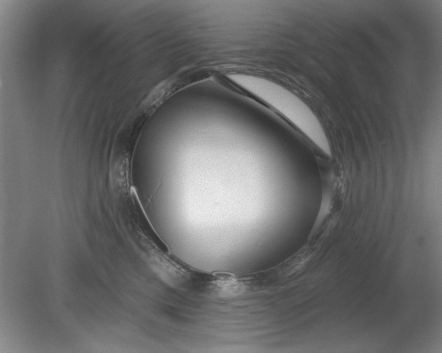 X0000080790425200701021229