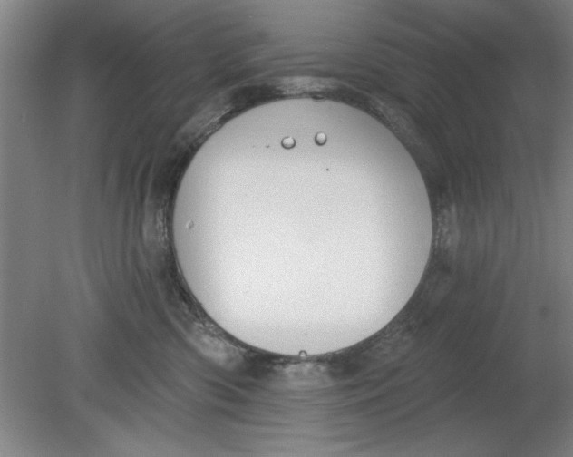 X0000080790426200701021229