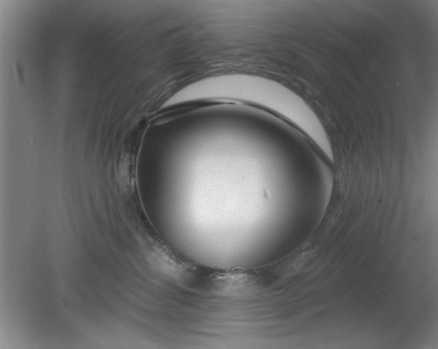 X0000080790428200701021229