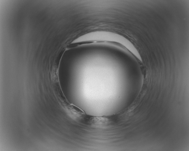 X0000080790429200701021229