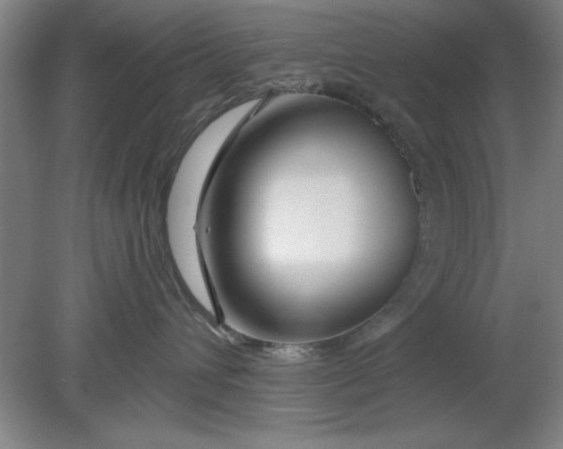 X0000080790432200701021229