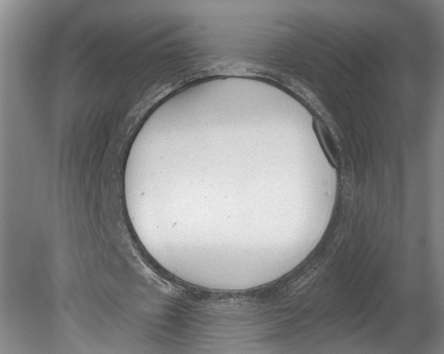 X0000080790433200701021228