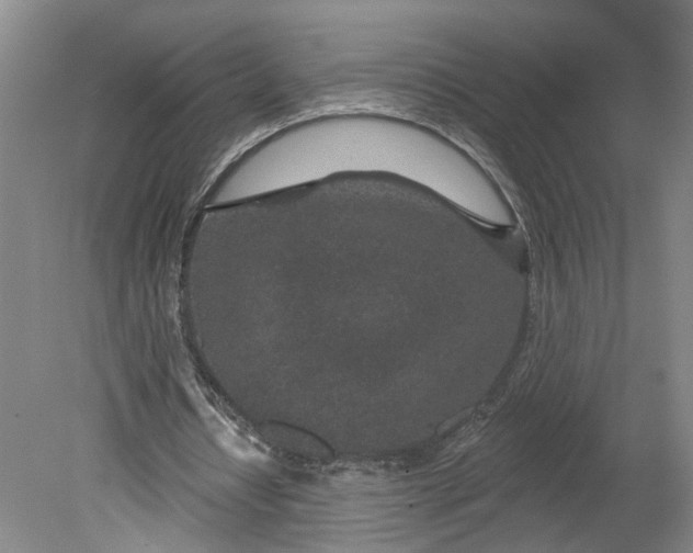 X0000080790434200701021228