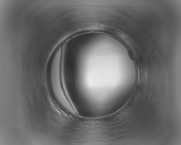 X0000080790435200701021228